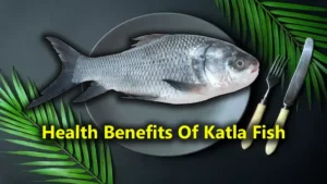 Health Benefits Of Katla Fish