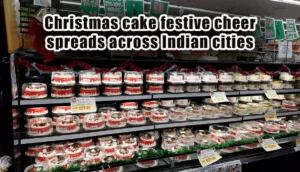 Festive Delights Across India A Christmas Cake Symphony from Ranchi to Nashik